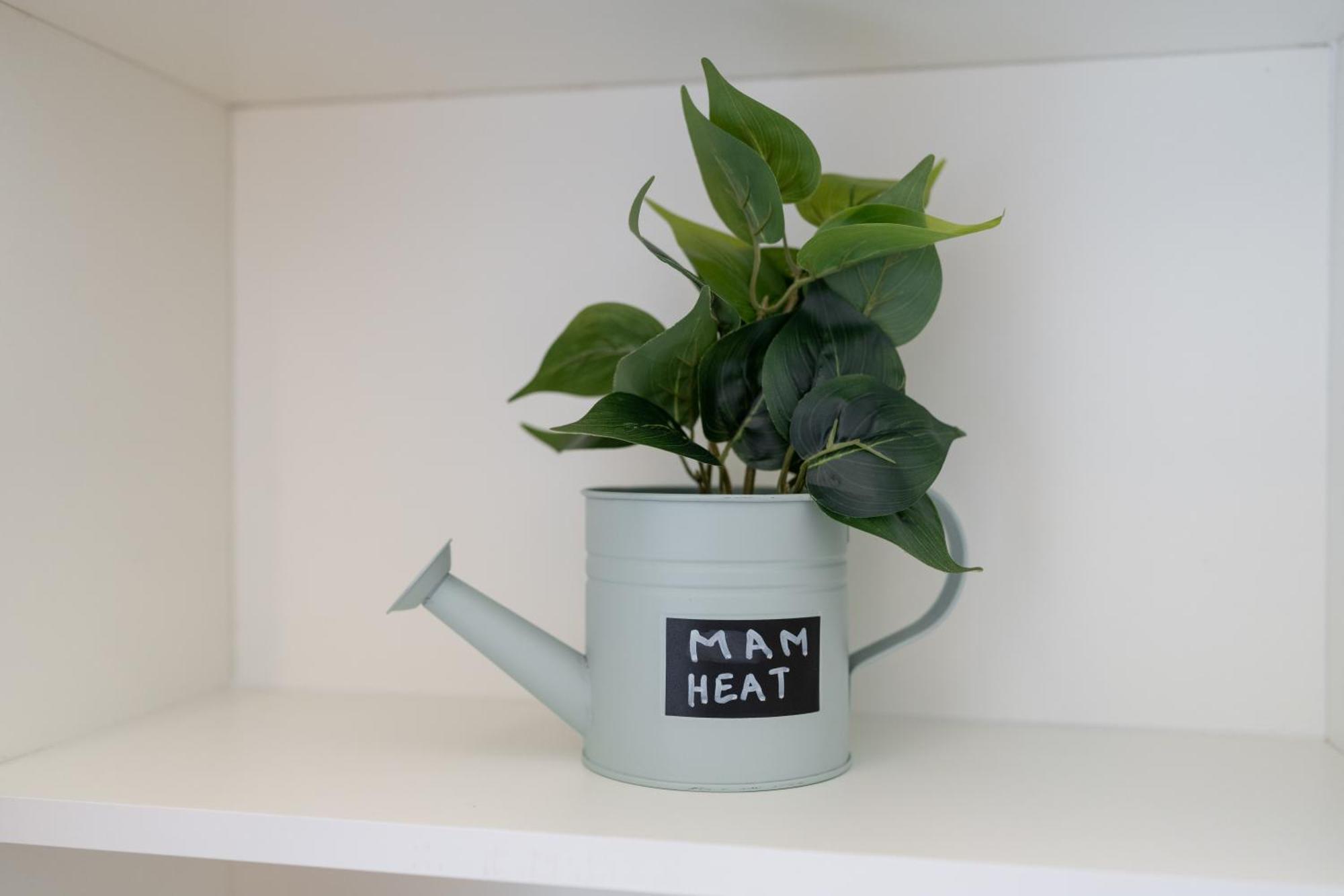 Mam Heat Apartments - Viana City Centre 비아나도카스텔로 외부 사진